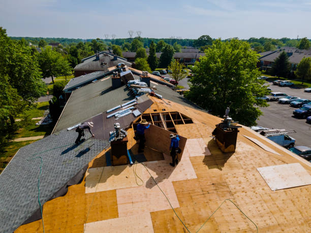 Roof Gutter Cleaning in Aberdeen, NC